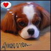 Аватары Животные animal0069.jpg