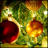 Аватары Новый год и Рождество newyear511.jpg