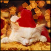 Аватары Новый год и Рождество newyear631.jpg