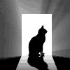 Аватары Животныеanimal1074.gif