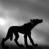 Аватары Животныеanimal1092.gif