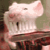 Аватары Животныеanimal1095.gif