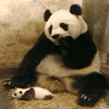 Аватары Животныеanimal1111.gif