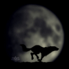 Аватары Животныеanimal1242.gif