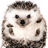 Аватары Животныеanimal1246.gif