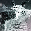 Аватары Животныеanimal1253.gif