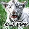 Аватары Животныеanimal1257.gif