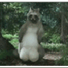 Аватары Животныеanimal1266.gif
