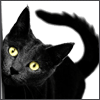 Аватары Животныеanimal1268.gif