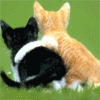 Аватары Животныеanimal1272.gif