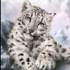Аватары Животныеanimal1281.gif