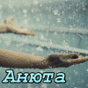 Аватары Именаname1186.gif