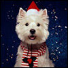 Аватары Новый год и Рождество newyear563.jpg